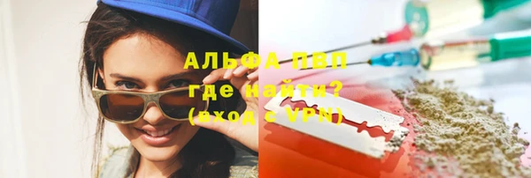 стаф Надым