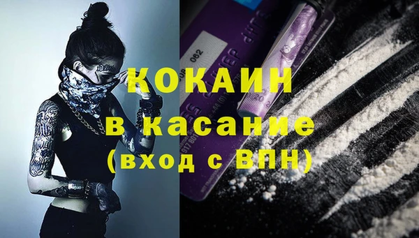 крисы Себеж