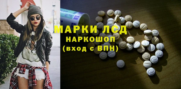 стаф Надым