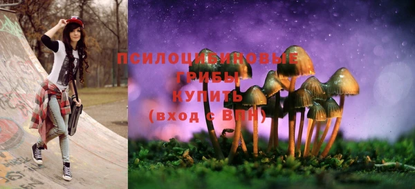 стаф Надым
