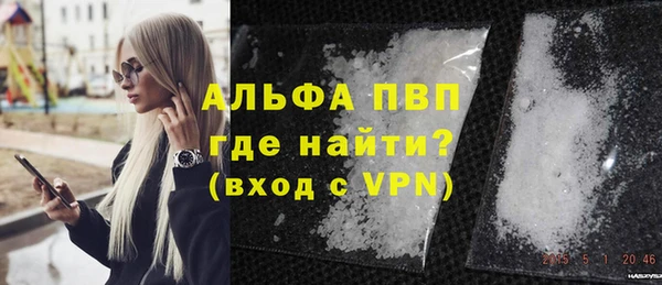 стаф Надым