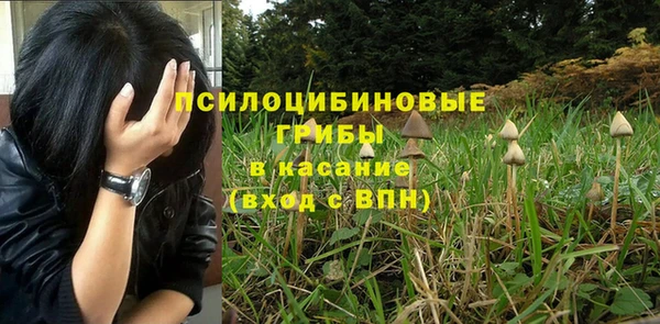 стаф Надым