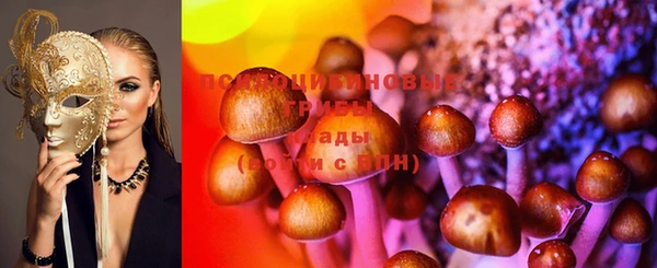 дживик Наволоки
