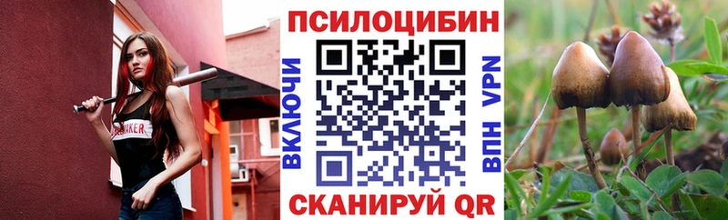 MEGA рабочий сайт  Павлово  Псилоцибиновые грибы GOLDEN TEACHER 