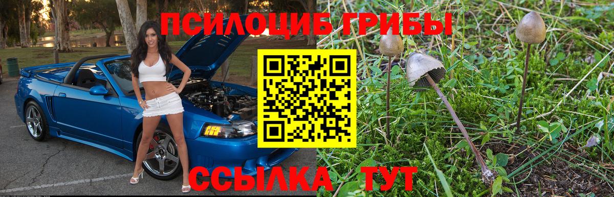 Павлово  Псилоцибиновые грибы мицелий  Вход с VPN 