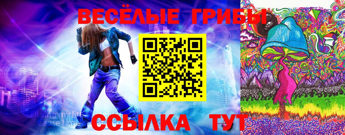 Псилоцибиновые грибы мухоморы Павлово